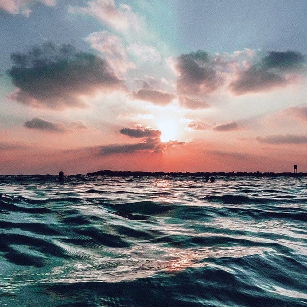 Meet your Posher, Lili